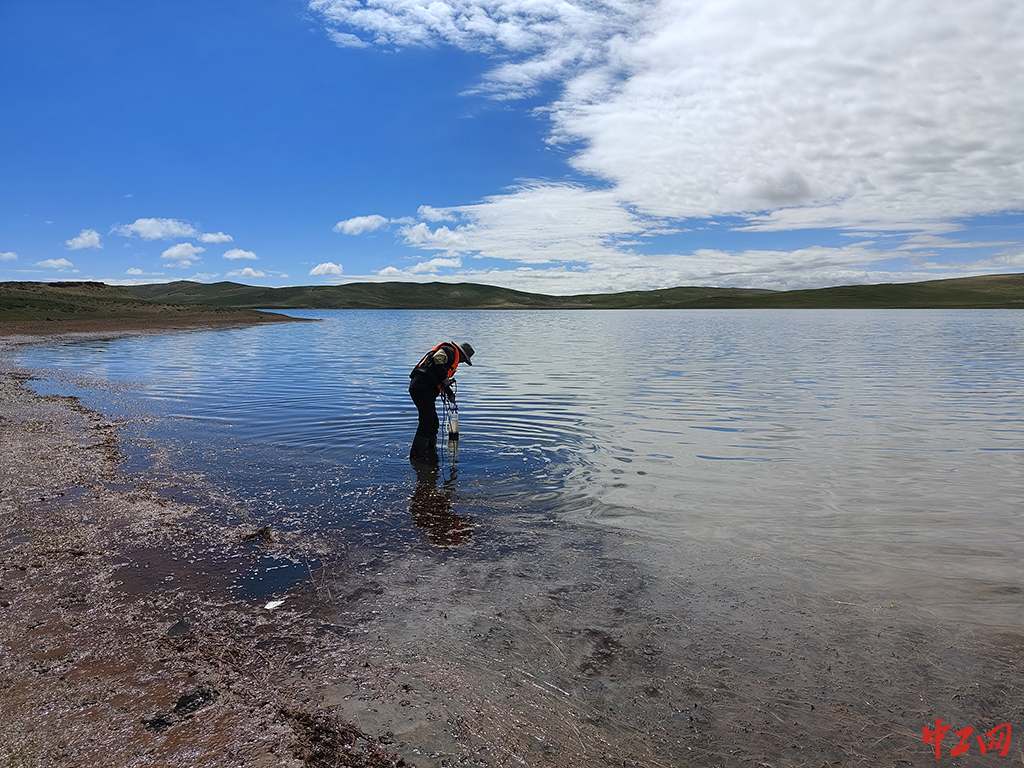 143-《孤独的监测人》青海省渔业技术推广中心 魏金良