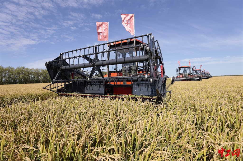 47-2《乡村振兴产业旺》黑龙江省农垦科学院 王亚光