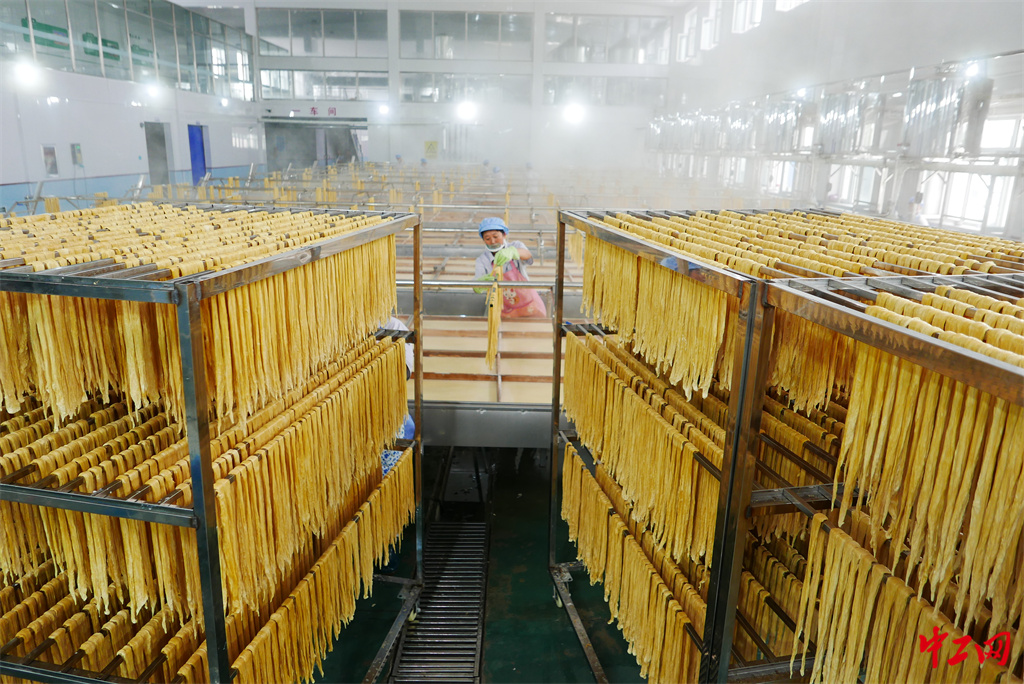 47-4《乡村振兴产业旺》黑龙江省农垦科学院 王亚光