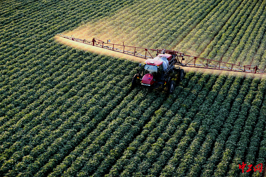 47-8《乡村振兴产业旺》黑龙江省农垦科学院 王亚光