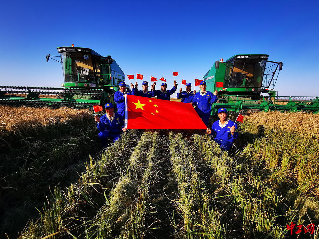 47-1《乡村振兴产业旺》黑龙江省农垦科学院 王亚光