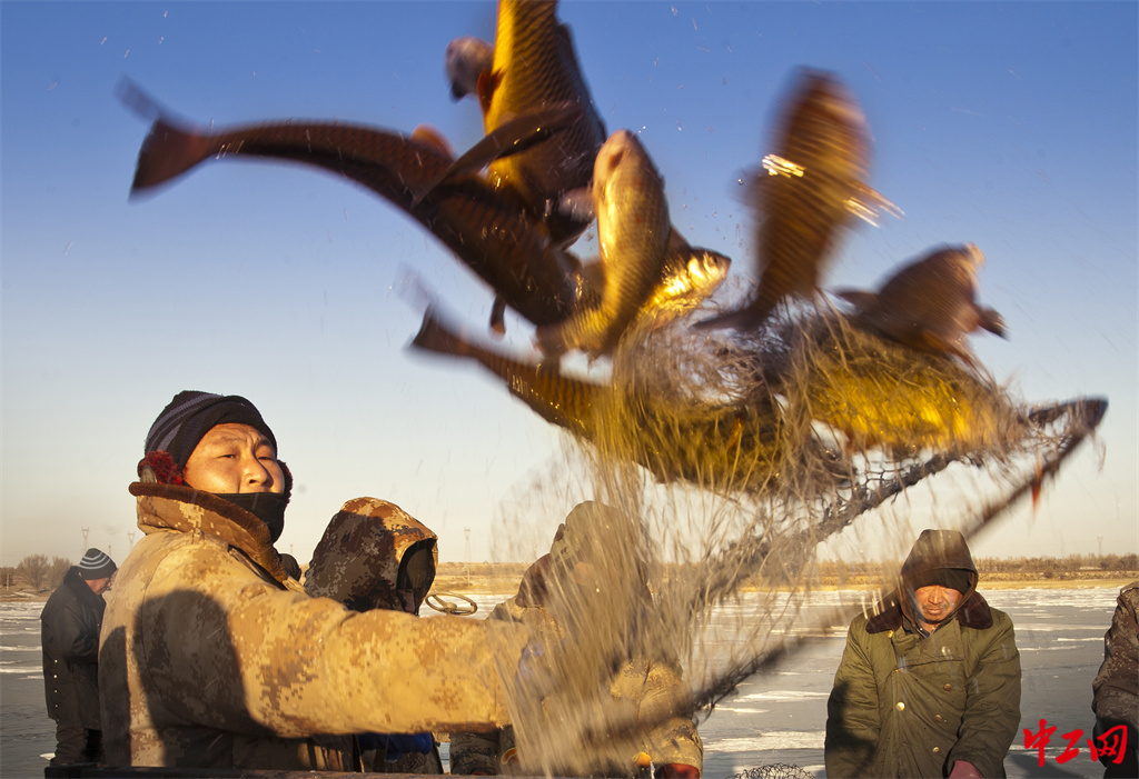 140-2《丰收的喜悦》兴安农垦集团公司布敦化牧场 包宝海