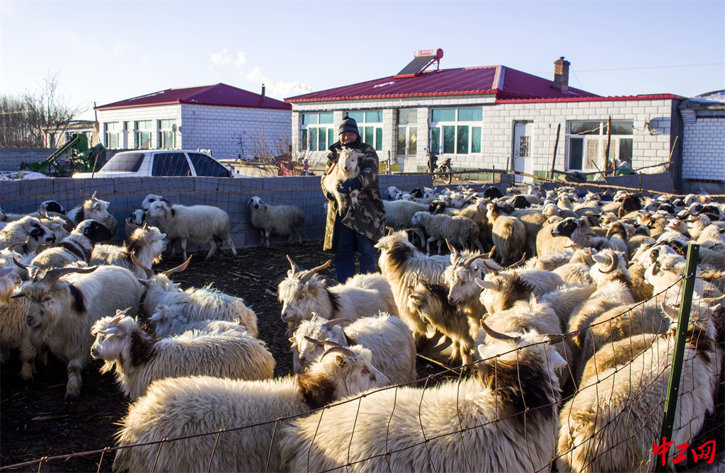 140-4《丰收的喜悦》兴安农垦集团公司布敦化牧场 包宝海
