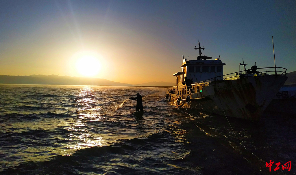 145-《邂逅落日》青海湖裸鲤救护中心 田少锋
