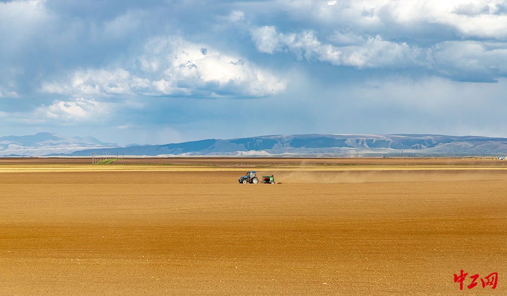 28-3《山丹马场春耕秋实》金色的海洋 -山丹马场二场有限责任公司工会 赵锐 28-3《山丹马场春耕秋实》金色的海洋 -山丹马场二场有限责任公司工会 赵锐