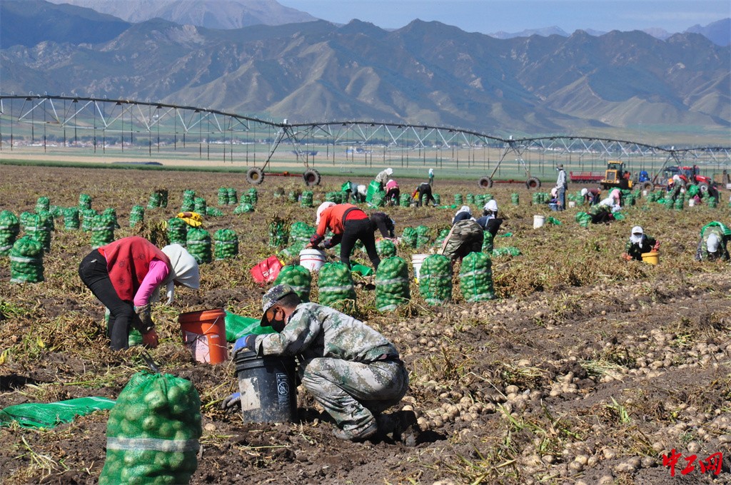 96-1《劳动》山丹马场三场有限责任公司 李志威