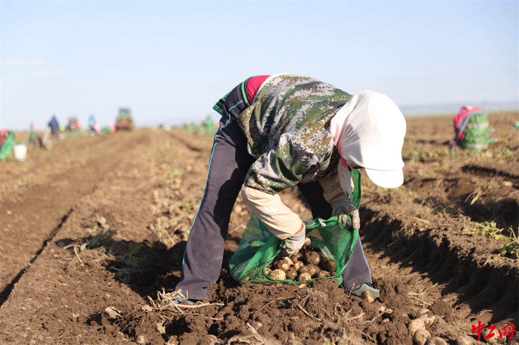 96-2《劳动》山丹马场三场有限责任公司 李志威