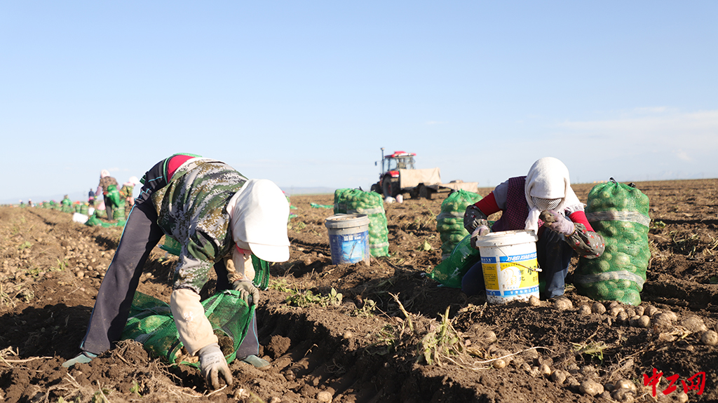 96-3《劳动》山丹马场三场有限责任公司 李志威