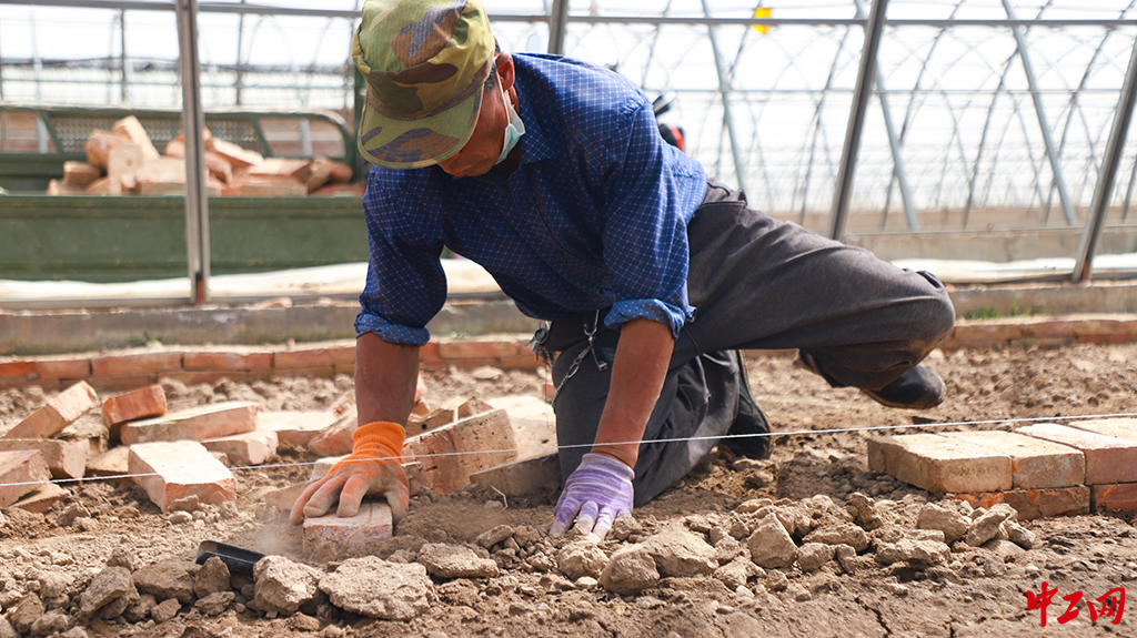 96-4《劳动》山丹马场三场有限责任公司 李志威