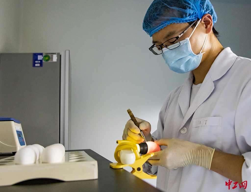 85-1《琢》中牧实业股份有限公司党群部 高焱亮