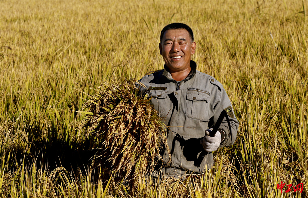 51-《勤劳开启致富路》北大荒集团泰来农场有限公司工会委员会 周宪义