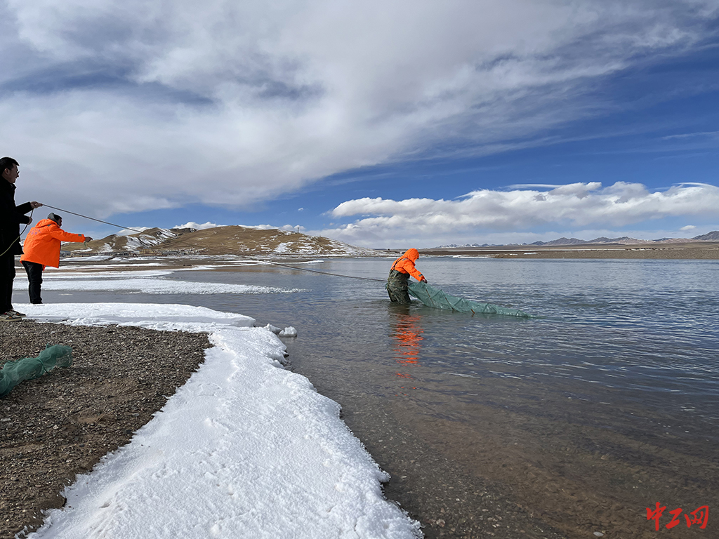 144-《扎陵湖监测调查》青海省渔业技术推广中心 李柯懋 144-《扎陵湖监测调查》青海省渔业技术推广中心 李柯懋