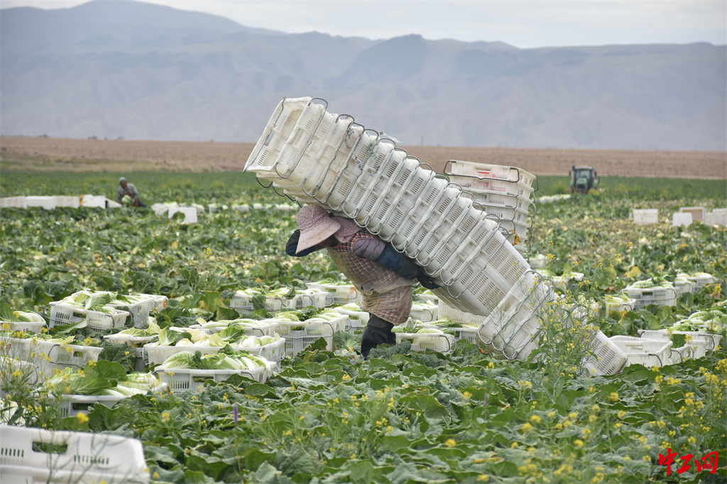 94-1《最美劳动者》山丹马场四场有限责任公司工会委员会 唐靓