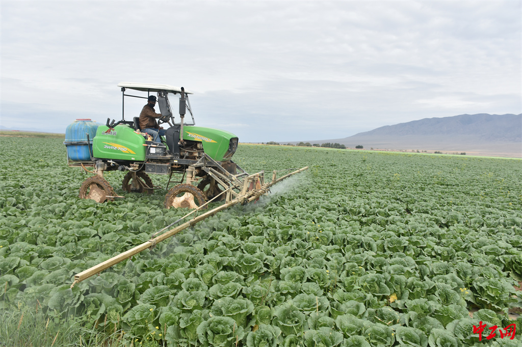 94-2《最美劳动者》山丹马场四场有限责任公司工会委员会 唐靓