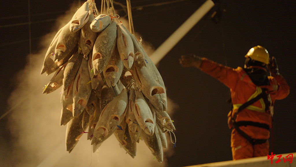 36-《让青春在一线闪光》山东中鲁海延远洋渔业有限公司 张丙强 36-《让青春在一线闪光》山东中鲁海延远洋渔业有限公司 张丙强