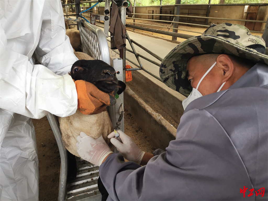 88-3《数据的温度》 尺度衡魂-宁夏中牧亿林畜产股份有限公司 蔡亮 88-3《数据的温度》 尺度衡魂-宁夏中牧亿林畜产股份有限公司 蔡亮