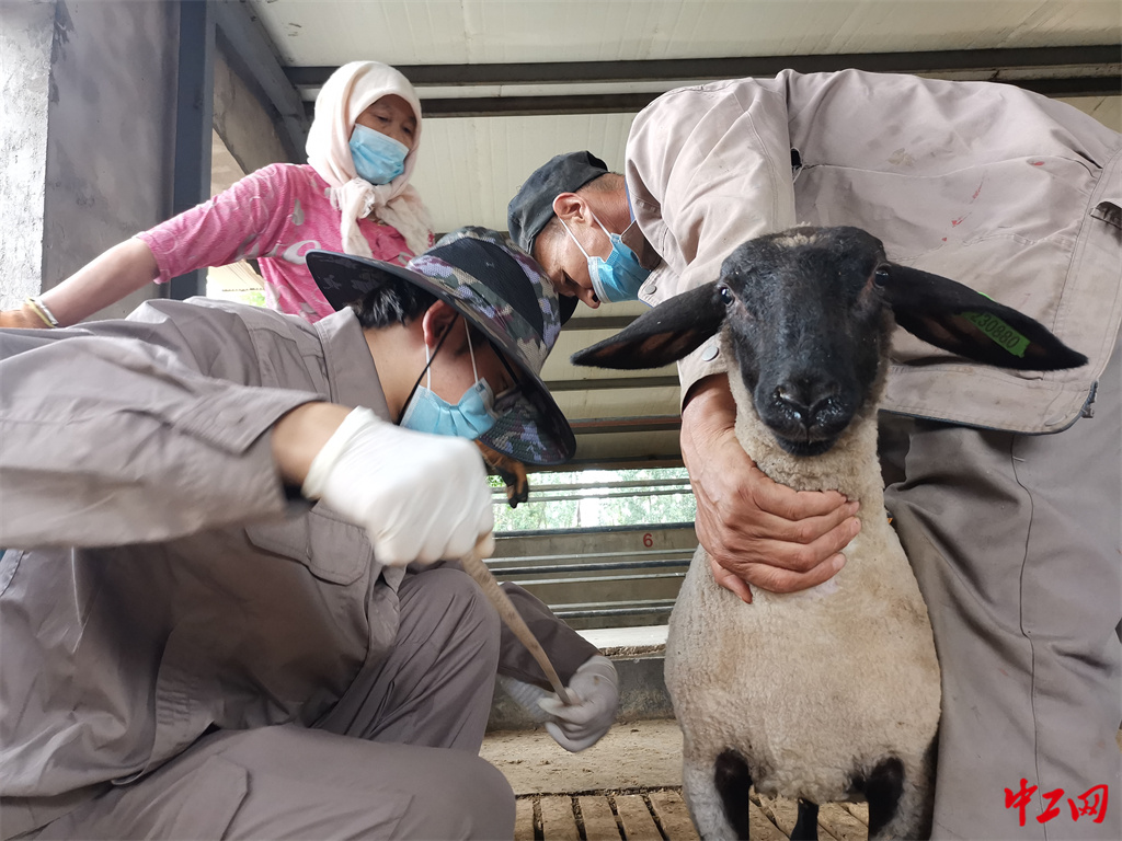 88-5《数据的温度》 尺度衡魂-宁夏中牧亿林畜产股份有限公司 蔡亮 88-5《数据的温度》 尺度衡魂-宁夏中牧亿林畜产股份有限公司 蔡亮