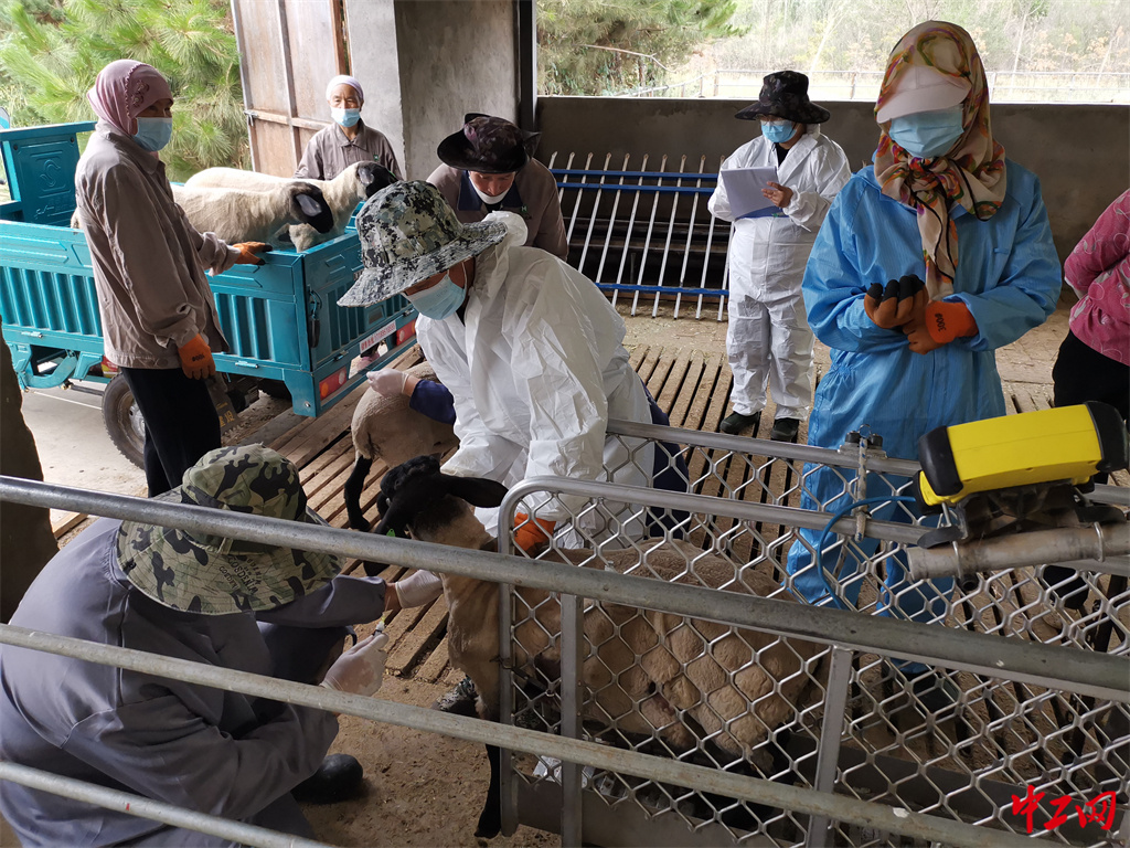 88-6《数据的温度》 尺度衡魂-宁夏中牧亿林畜产股份有限公司 蔡亮 88-6《数据的温度》 尺度衡魂-宁夏中牧亿林畜产股份有限公司 蔡亮