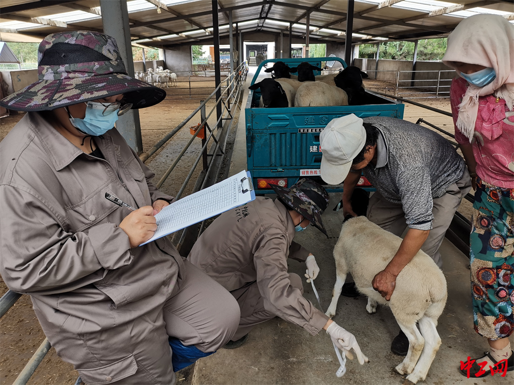 88-7《数据的温度》 尺度衡魂-宁夏中牧亿林畜产股份有限公司 蔡亮 88-7《数据的温度》 尺度衡魂-宁夏中牧亿林畜产股份有限公司 蔡亮