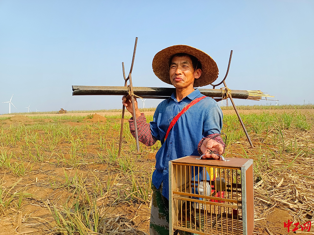 156-《甜蜜》广东省丰收糖业发展有限公司 陈凯