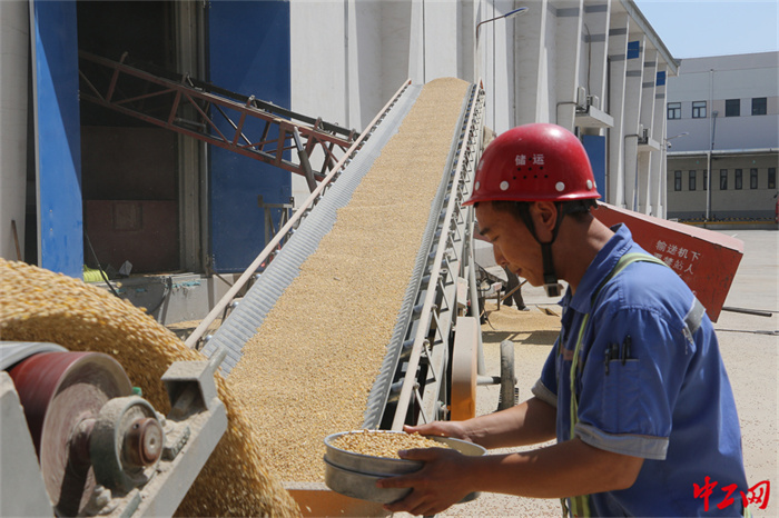 123-2《“粮”心足迹》天津利达粮油有限公司 李笑