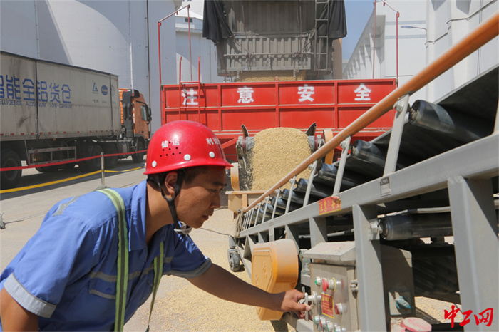 123-4《“粮”心足迹》天津利达粮油有限公司 李笑