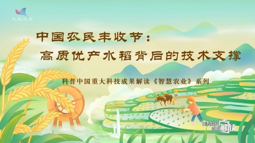 中国农民丰收节丨高质优产水稻背后的技术支撑