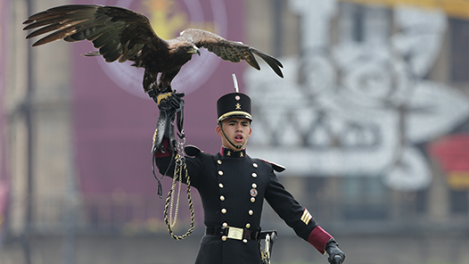 特稿｜拉美经济在风高浪急中前行
