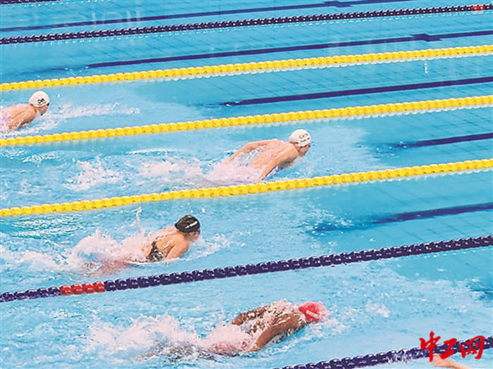 2224421_tpzz_1695573467348_b