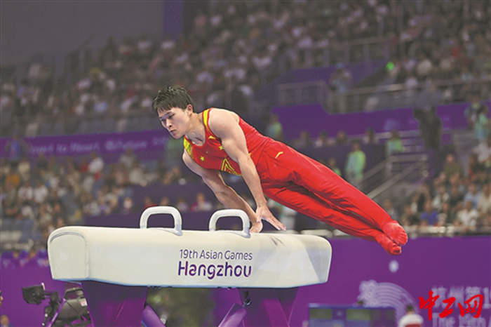 2224428_tpzz_1695573298347_b