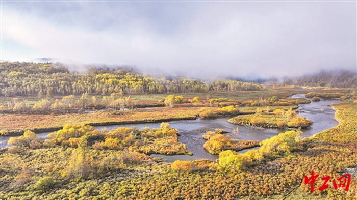 2220571_tpzz_1695359016349_b