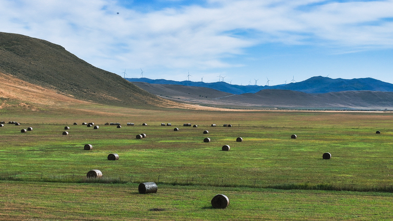 内蒙古兴安盟在乌兰毛都草原上邂逅金秋