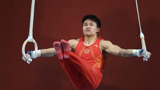 体操综合：兰星宇吊环夺冠 “丘妈”跳马获第四