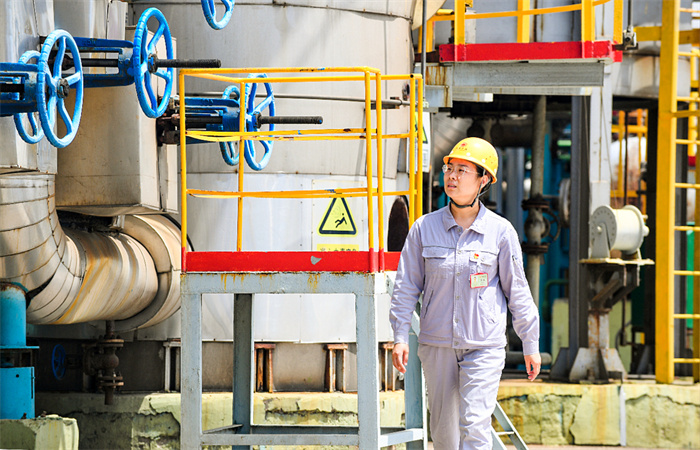 20231005_112317_006 20231005_112317_006