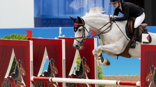 这项运动，为何男女同场竞技？