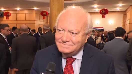 联合国官员：期待“一带一路”谱写人类文明交流的新篇章