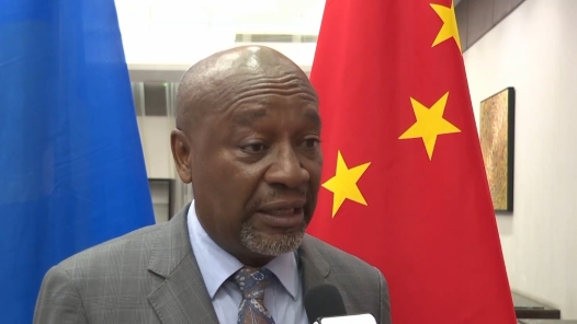 丝路画卷·世界说｜“一带一路”成果丰硕 助力非洲实现发展