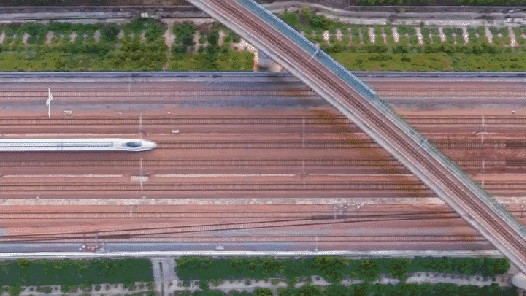 山海友情 一带一路｜一次“双向奔赴”的聚会