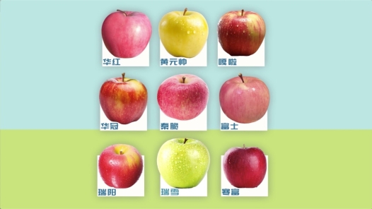 舌尖上的“一带一路”，真香！