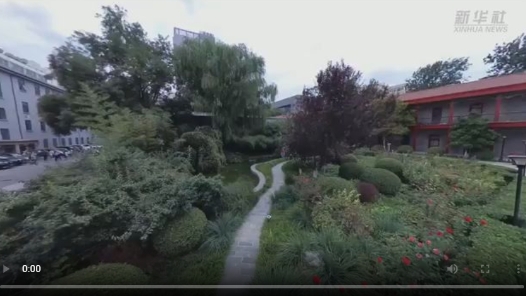 “一带一路”·“洋记者”的十个没想到 | 直播带货居然成了一门课