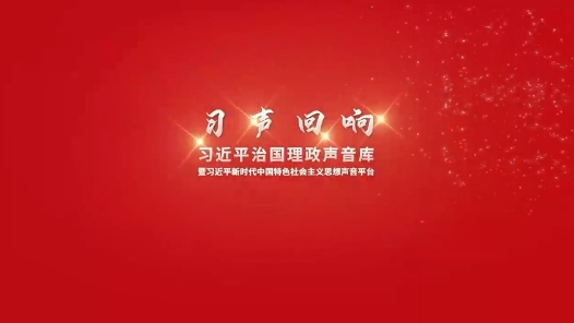 习声回响·大道共通丨万“桥”飞架破解“黔道难” 构筑“一带一路”大通道