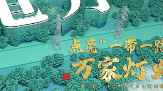 跟着习主席看世界丨点亮“一带一路”万家灯火