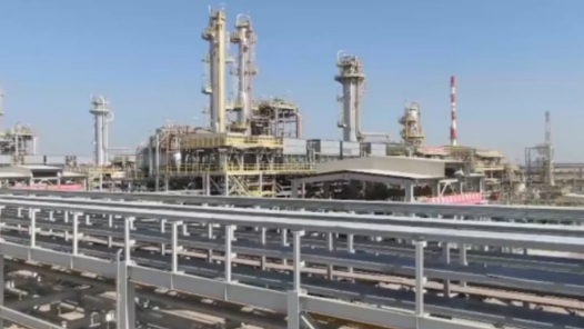 “一带一路”世界说丨中东多国人士：共建“一带一路”倡议推动互利共赢