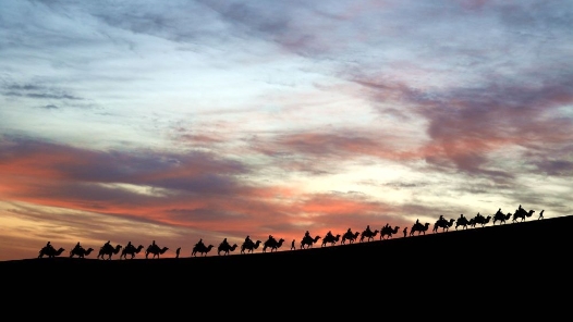 “一带一路”高峰论坛丨一眼千年，感悟东方智慧的融会贯通
