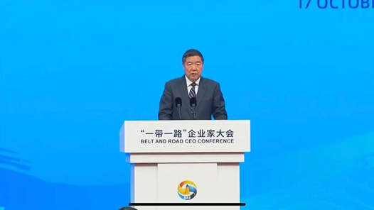何立峰出席“一带一路”企业家大会并致辞