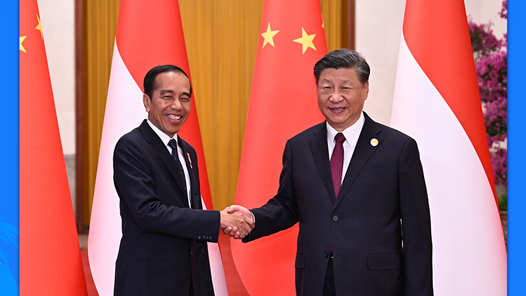 习近平同印度尼西亚总统佐科会谈