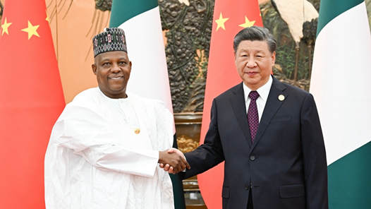 习近平会见尼日利亚副总统谢蒂马