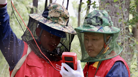 2023·劳动创造幸福｜“蚊虫王国”的坚守