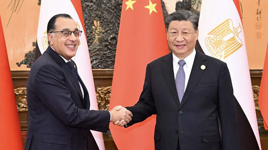 习近平会见埃及总理马德布利
