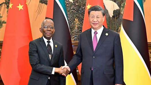 习近平会见莫桑比克总理马莱阿内